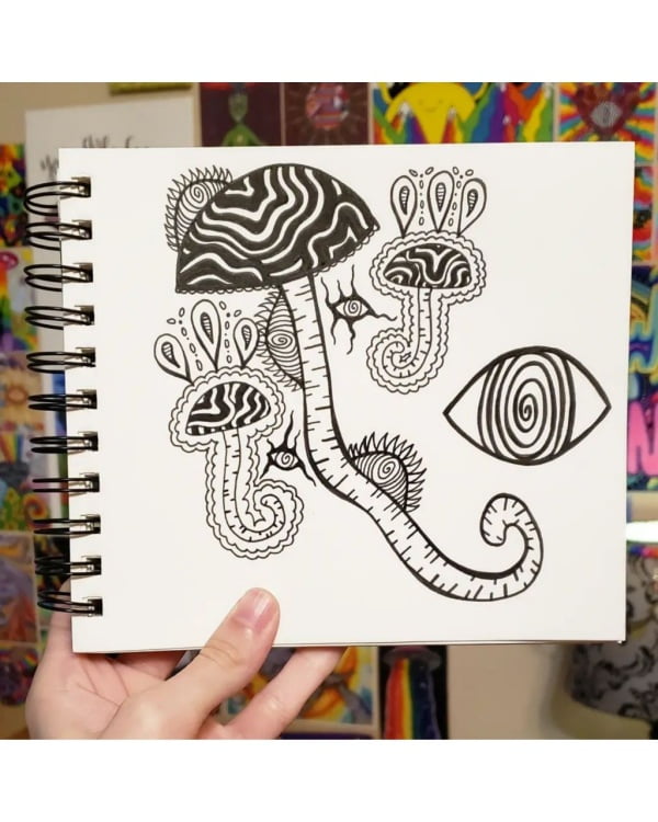 Cactus and mushroom drawing