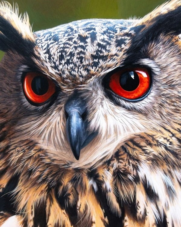 23 Amazing Colorful Bird Drawing Ideas bird drawing with colour 6