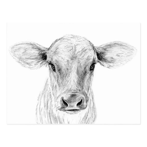 cute calf pencil drawing, animal drawing ideas