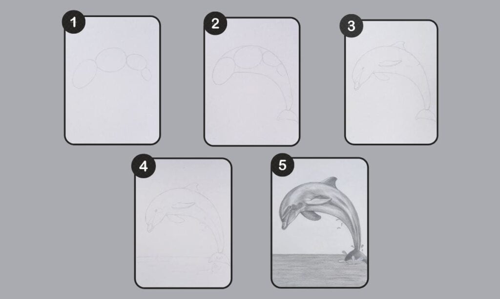 How to Draw a Dolphin dolphin complete processss