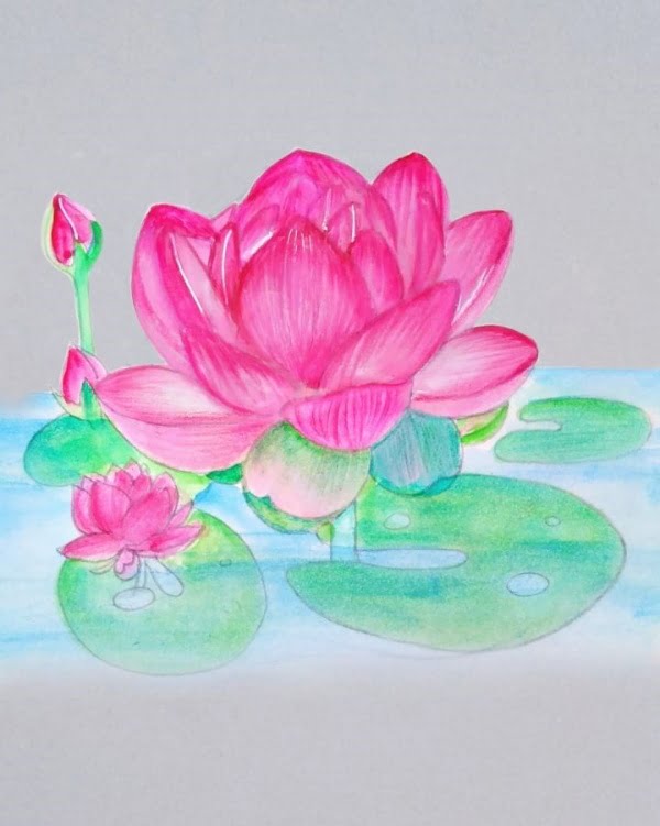 lotus coloured image