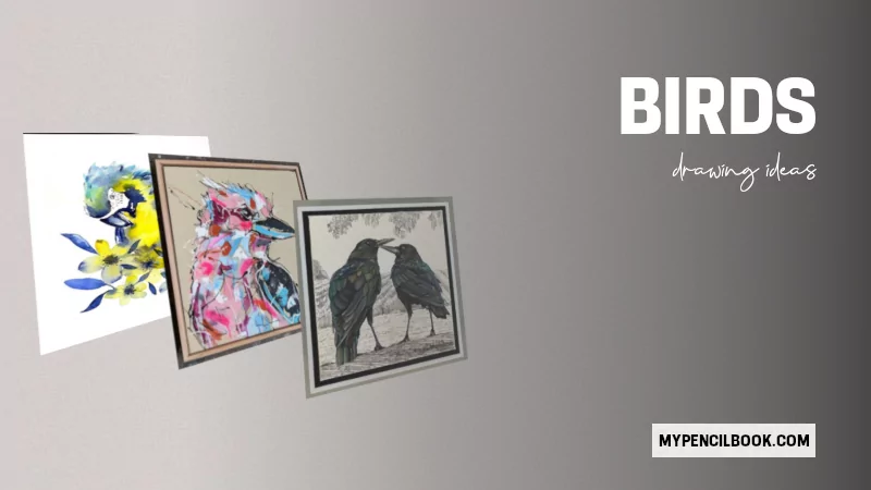 23 Amazing Bird Drawing With Colour Coloured bird drawilng featured image