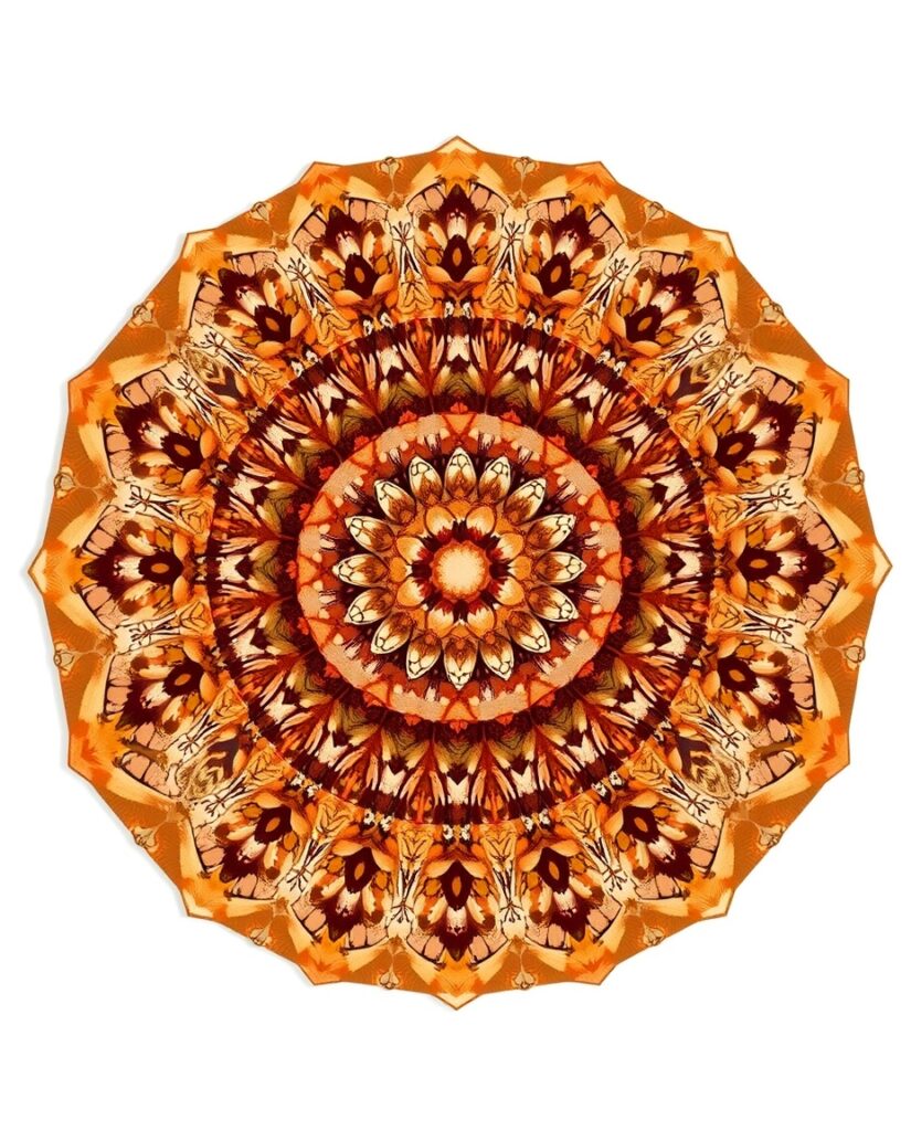 18 Calm Pine Cone and Acorn Painting Ideas Flux Schnell A circular mandala art composed of intricately re 0