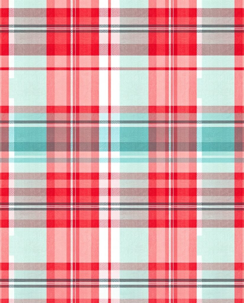 Flux Schnell exquisite high fashion photography of Crisp plaid 3